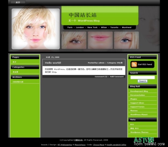 Wordpress Beauty Blog模板