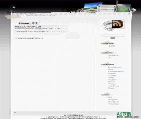 Wordpress Office Log模板