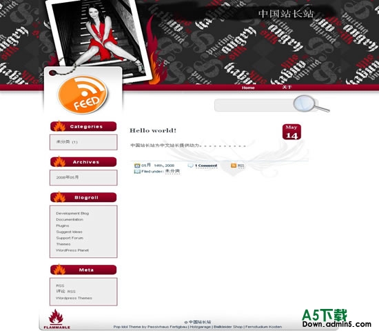 Wordpress Pop Idol模板