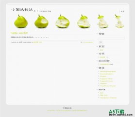 Wordpress Disappear模板