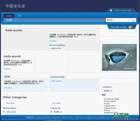 Wordpress ProMag模板