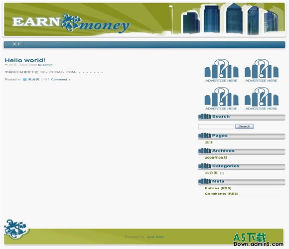 Wordpress Earn Money模板