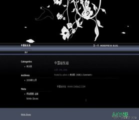 Wordpress Basis模板