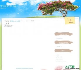 Wordpress WishTree模板