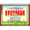 小学语文生字记忆训练系统
