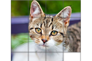 jquery益智拼图游戏