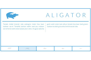 jquery弹性标签滑块