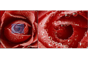 简单的jquery放大镜特效