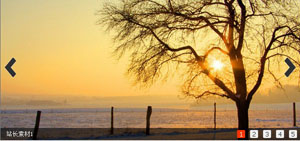 cxSlide带标题和按钮焦点图