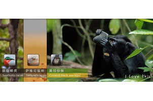 jQuery手风琴图片轮播切换