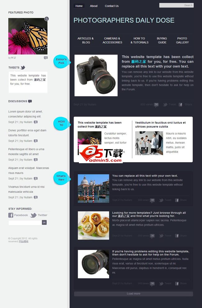 个性纯色双栏摄影网站模板