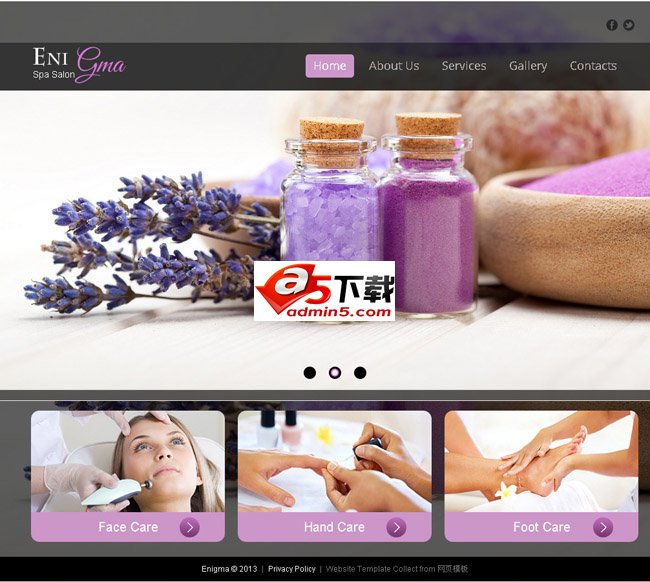 美容会所商务整站模板