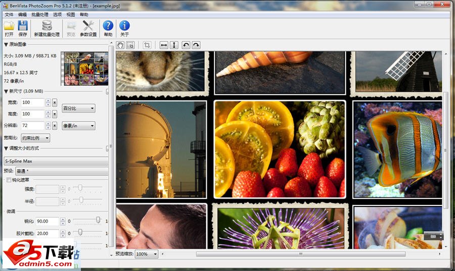 图片放大不失真软件_PhotoZoom