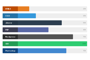 jQuery+CSS3投票结果图表
