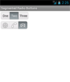 Segmented Radio Buttons