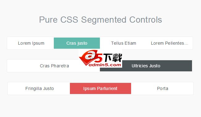纯CSS3水平控制按钮开关