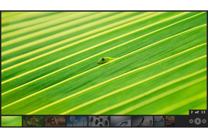 可自动播放暂停的相册特效