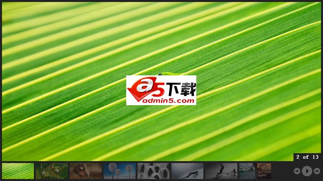 可自动播放暂停的相册特效