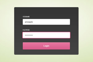 CSS3可自动输入登录表单动画
