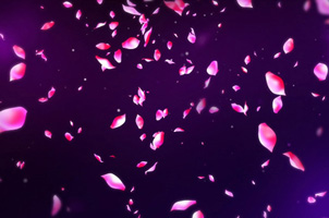 jQuery实现玫瑰花瓣飘落效果