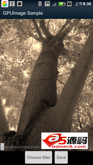 实时摄像头滤镜效果