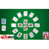 SolSuite Solitaire 2014