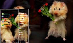 求爱仓鼠电脑主题 xp版