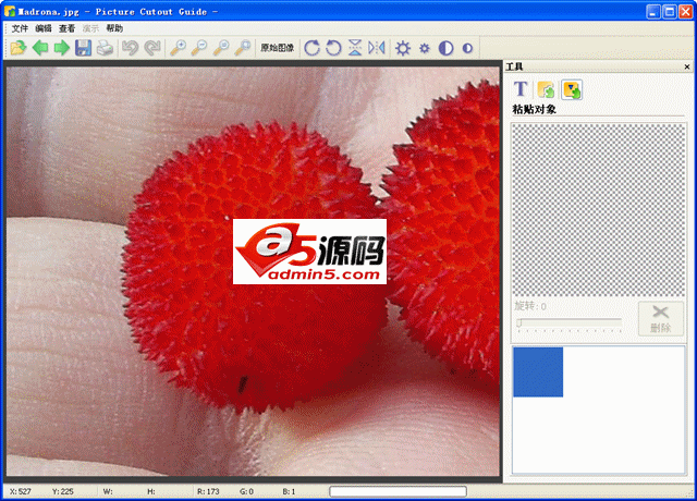 Picture Cutout Guide