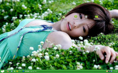 花草美女电脑主题 xp版