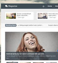 wordpress:Magazine 杂志新闻主题