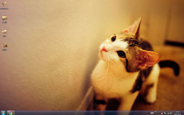 咖啡色猫咪电脑主题