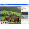 Photo Montage Guide