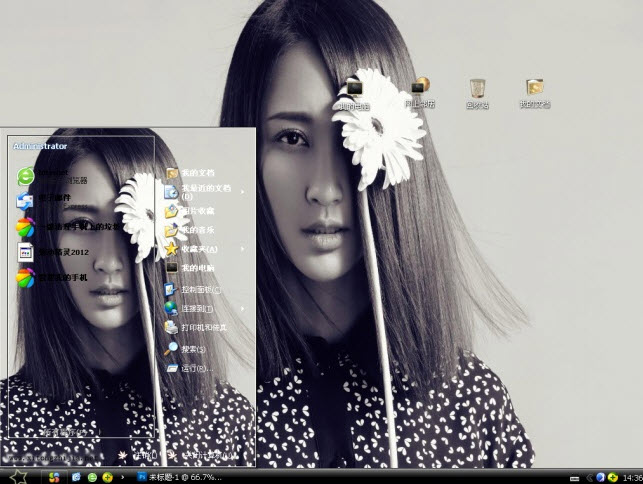 时尚教主电脑主题