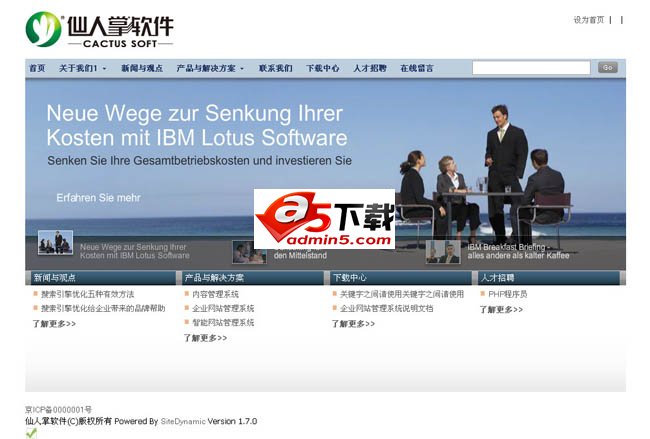 SITEDYNAMIC仿原IBM风格