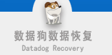 数据狗数据恢复软件