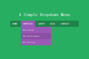 纯CSS3制作华丽网站下拉菜单