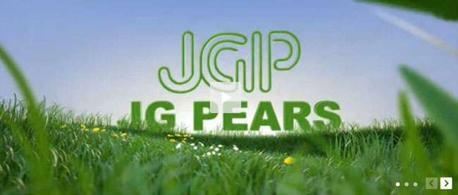 jquery flash交互式媒体播放器