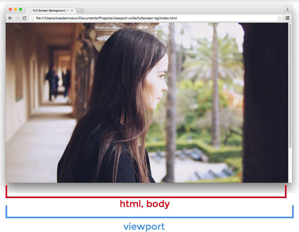 详解CSS中视窗单位和百分比单位的使用