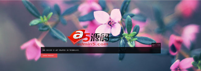 jquery通栏全屏广告代码下载