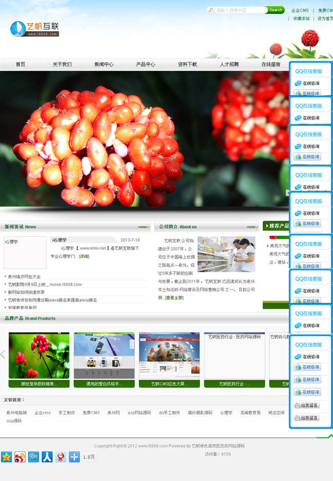 艺帆绿色清爽医药类网站源码