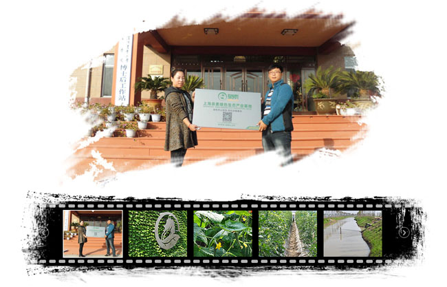  电影胶卷风格js幻灯片