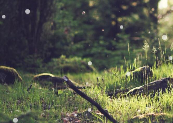 javascript实现很浪漫的气泡冒出特效