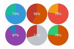 HTML5 SVG饼状图形进度条代码