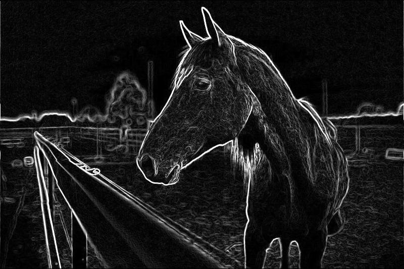 用canvas 实现个图片三角化(LOW POLY)效果