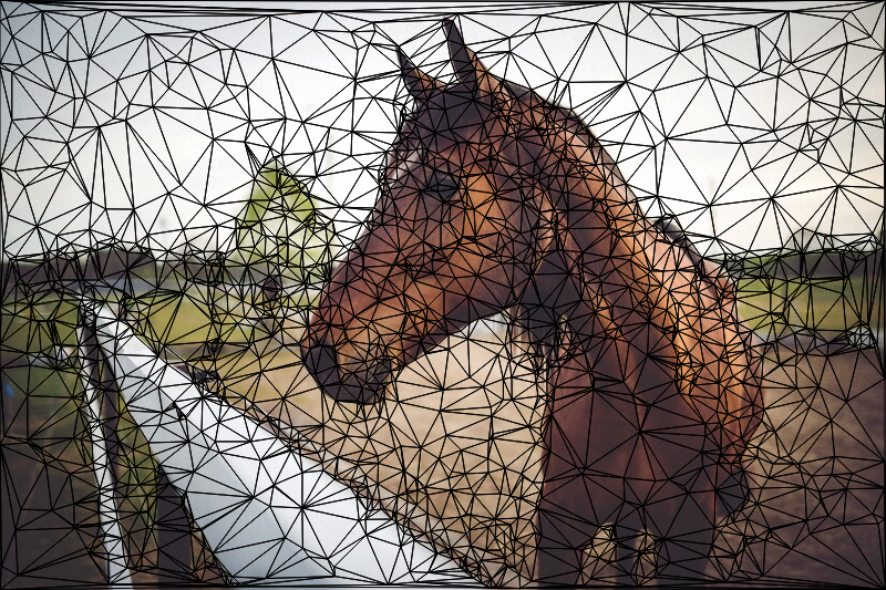 用canvas 实现个图片三角化(LOW POLY)效果