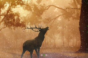 jQuery自适应浏览器图片切换代码