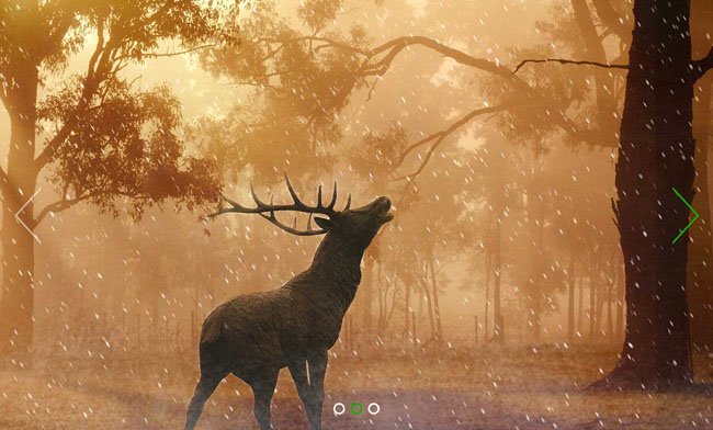  jQuery自适应浏览器图片切换代码