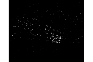 html5 canvas实现的鼠标点击水珠爆炸动画特效源码