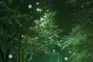 HTML5 canvas炫酷3D雪花飘落特效