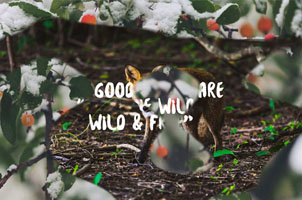 CSS3遮罩banner动画